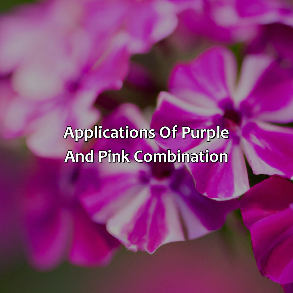Applications Of Purple And Pink Combination  - Purple And Pink Make What Color, 