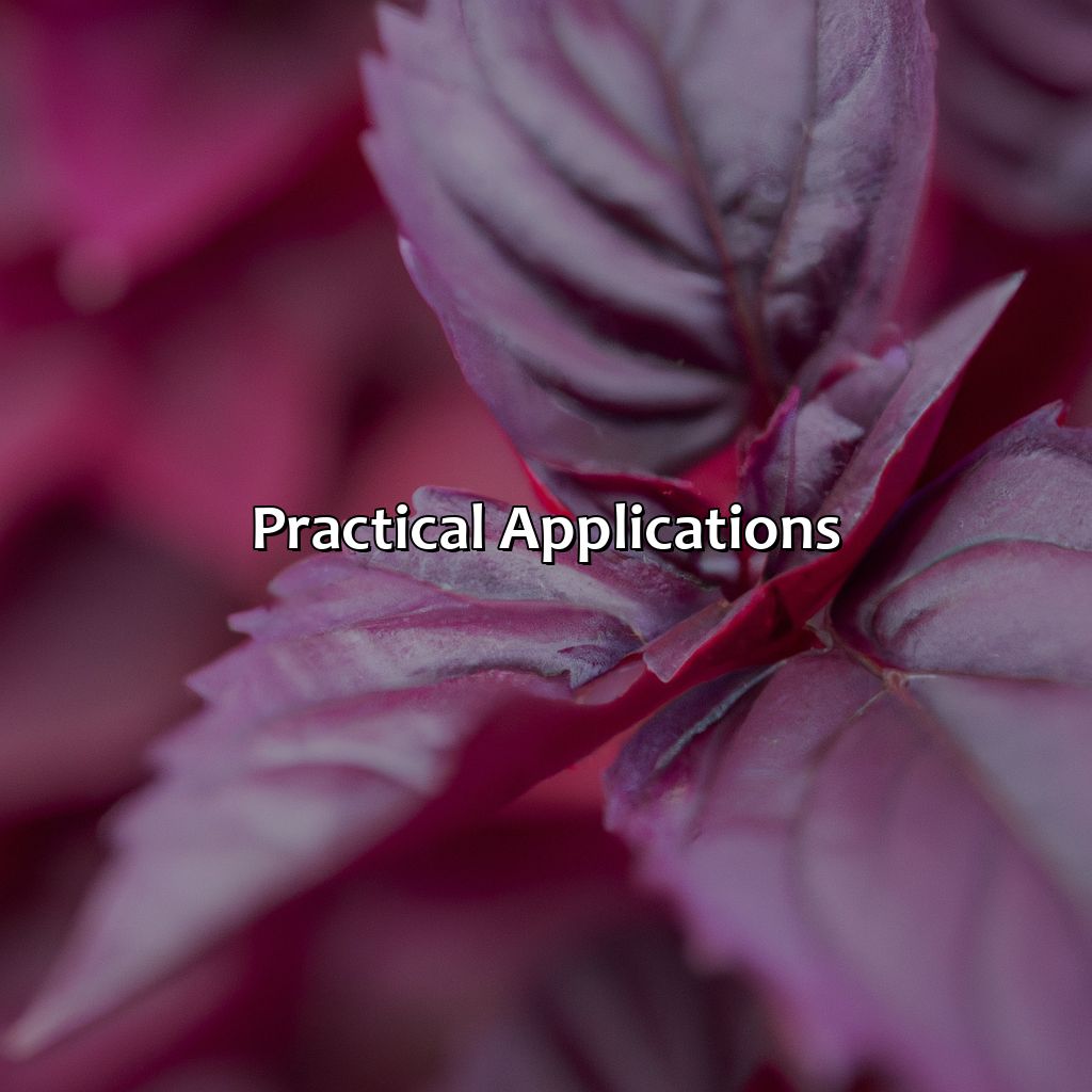 Practical Applications  - Purple And Red Make What Color, 