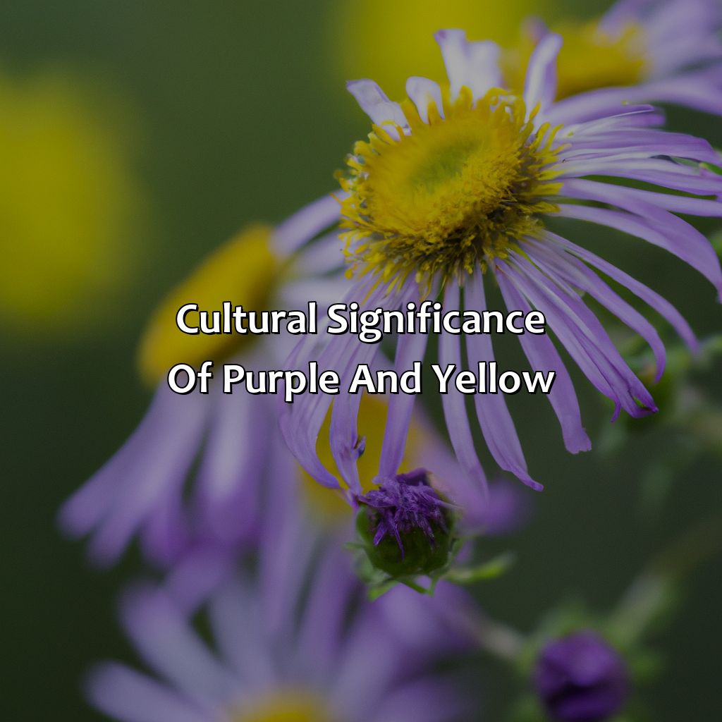 Cultural Significance Of Purple And Yellow  - Purple And Yellow Is What Color, 