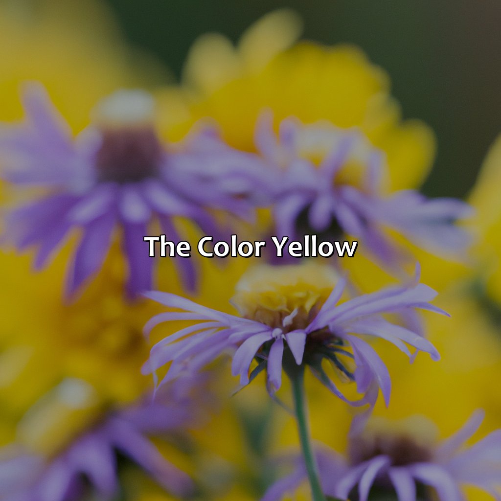 The Color Yellow  - Purple And Yellow Is What Color, 