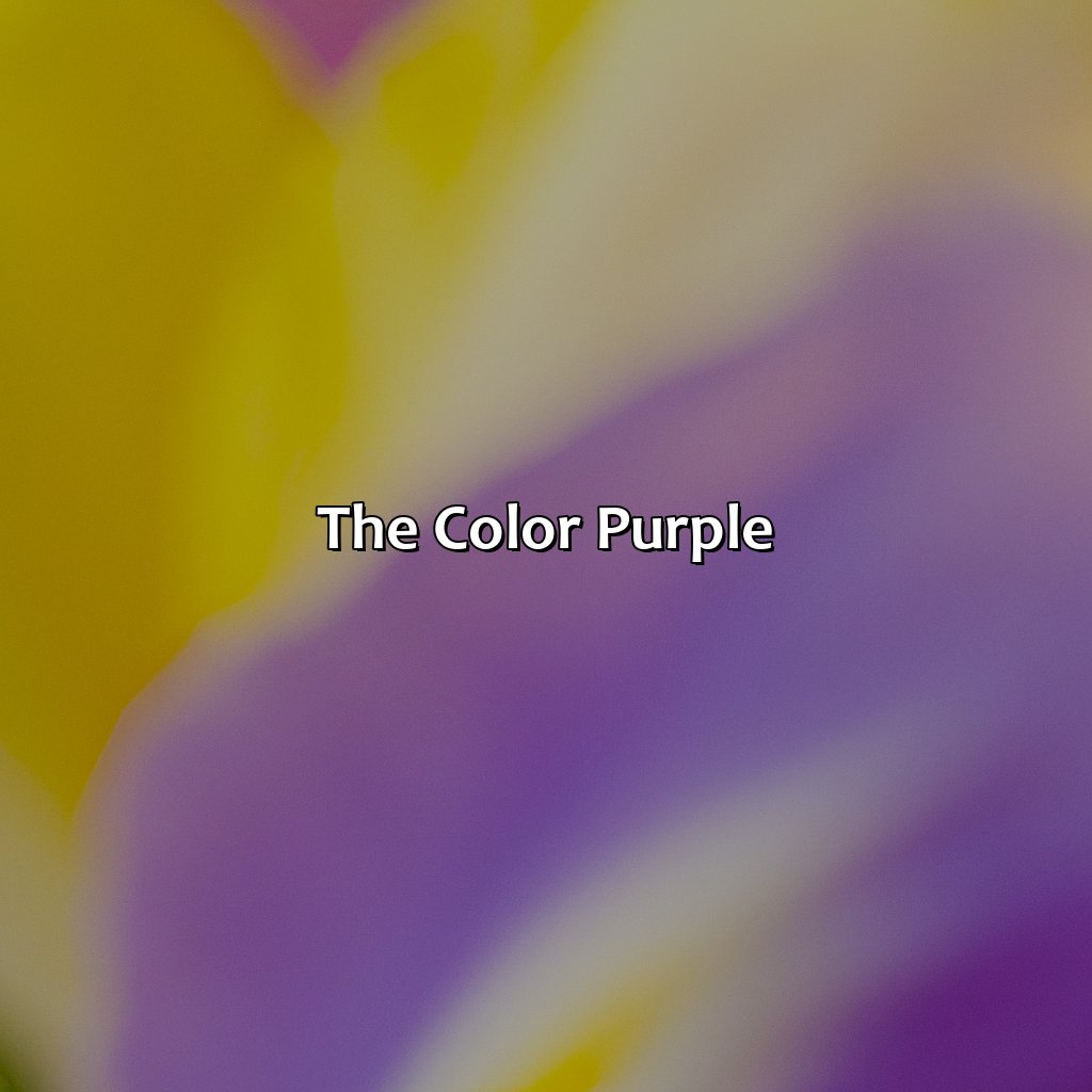 The Color Purple  - Purple And Yellow Is What Color, 