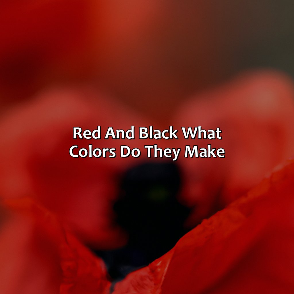Red And Black: What Colors Do They Make?  - Red And Black Make What Color, 