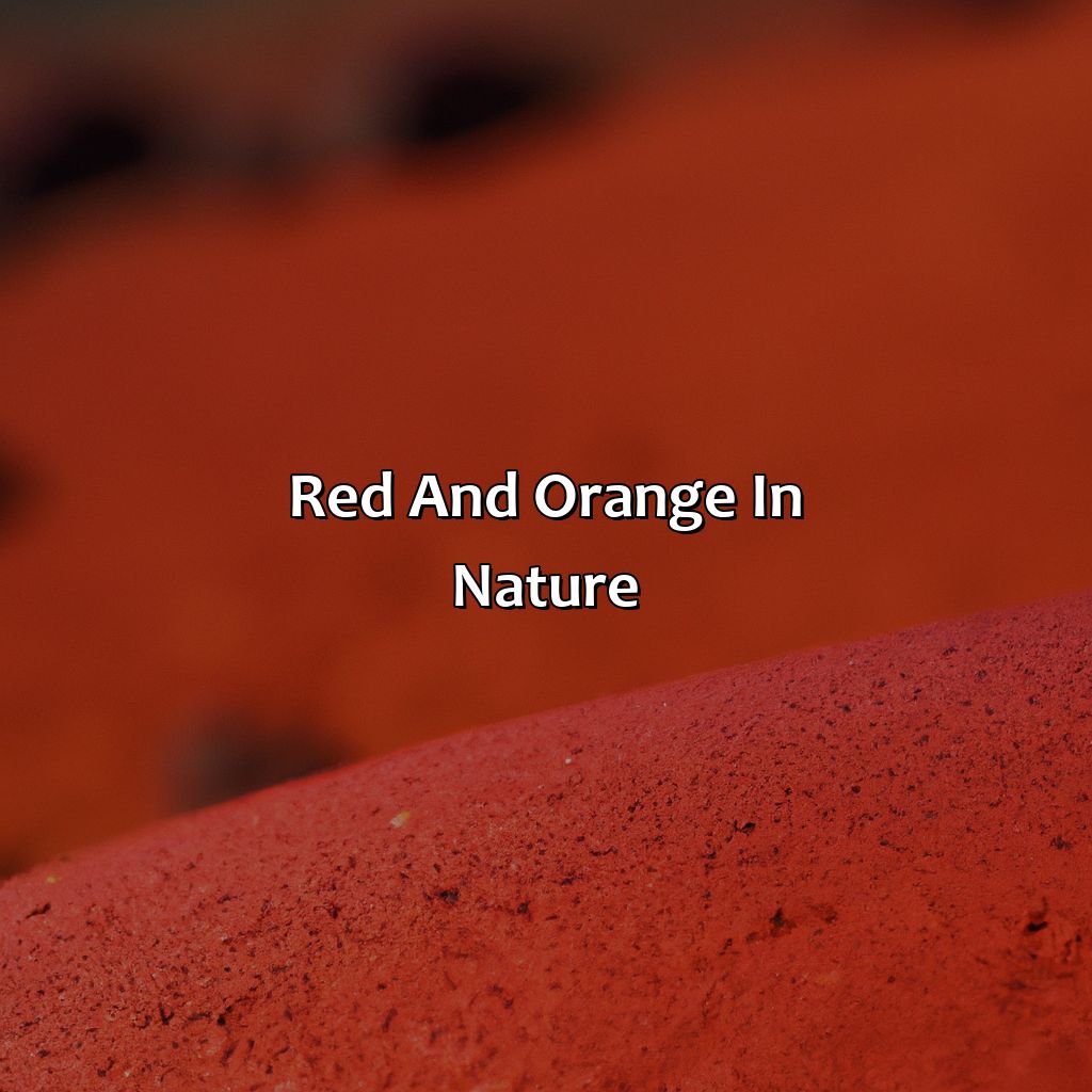 Red And Orange In Nature  - Red And Orange Is What Color, 