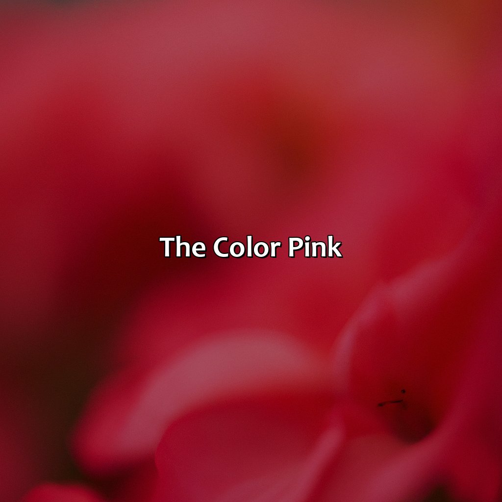 The Color Pink  - Red And Pink Make What Color, 