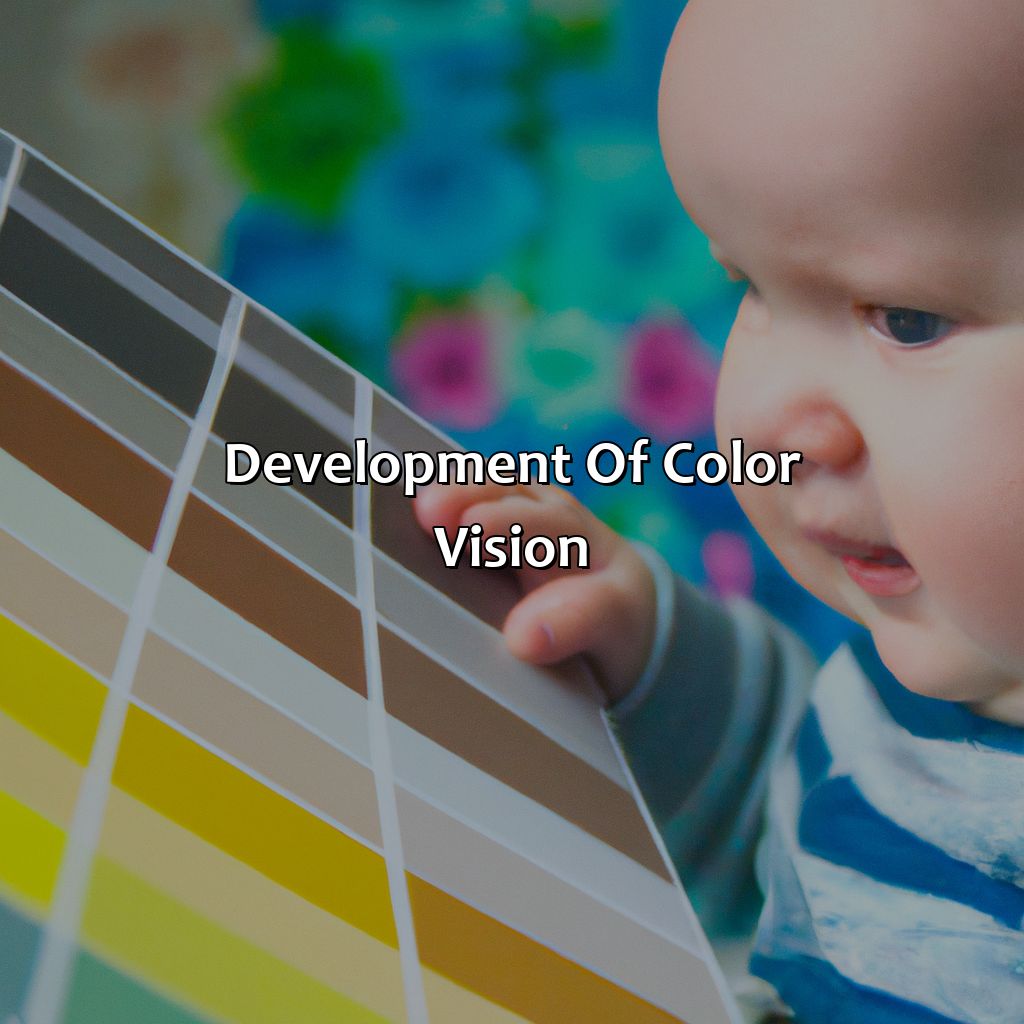 Development Of Color Vision  - What Age Do Babies See Color, 