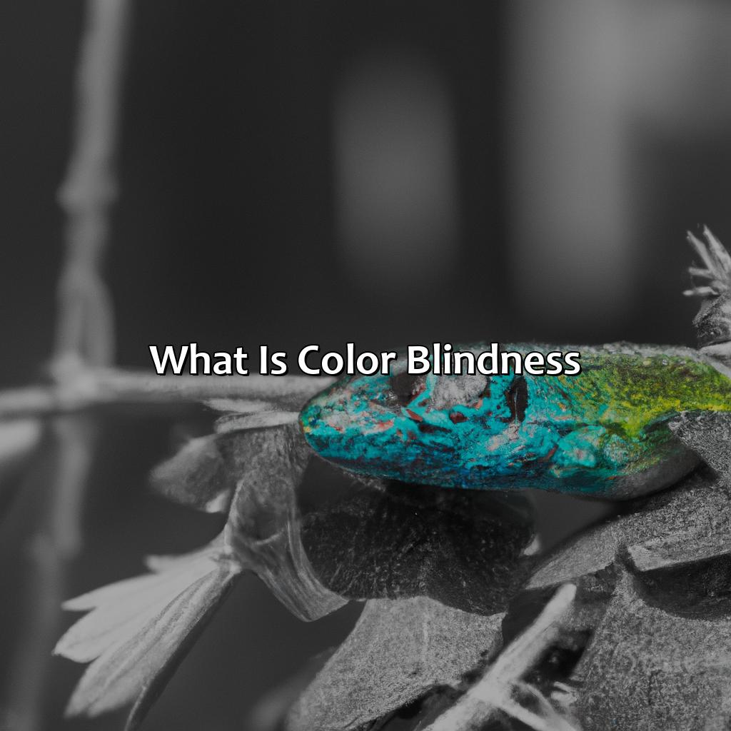 What Is Color Blindness?  - What Animals Are Color Blind, 