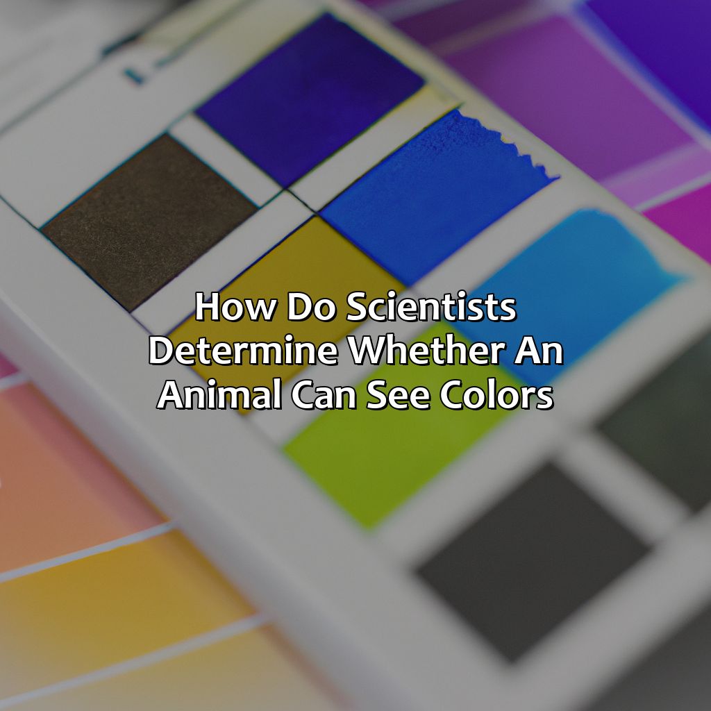 How Do Scientists Determine Whether An Animal Can See Colors?  - What Animals Are Color Blind, 