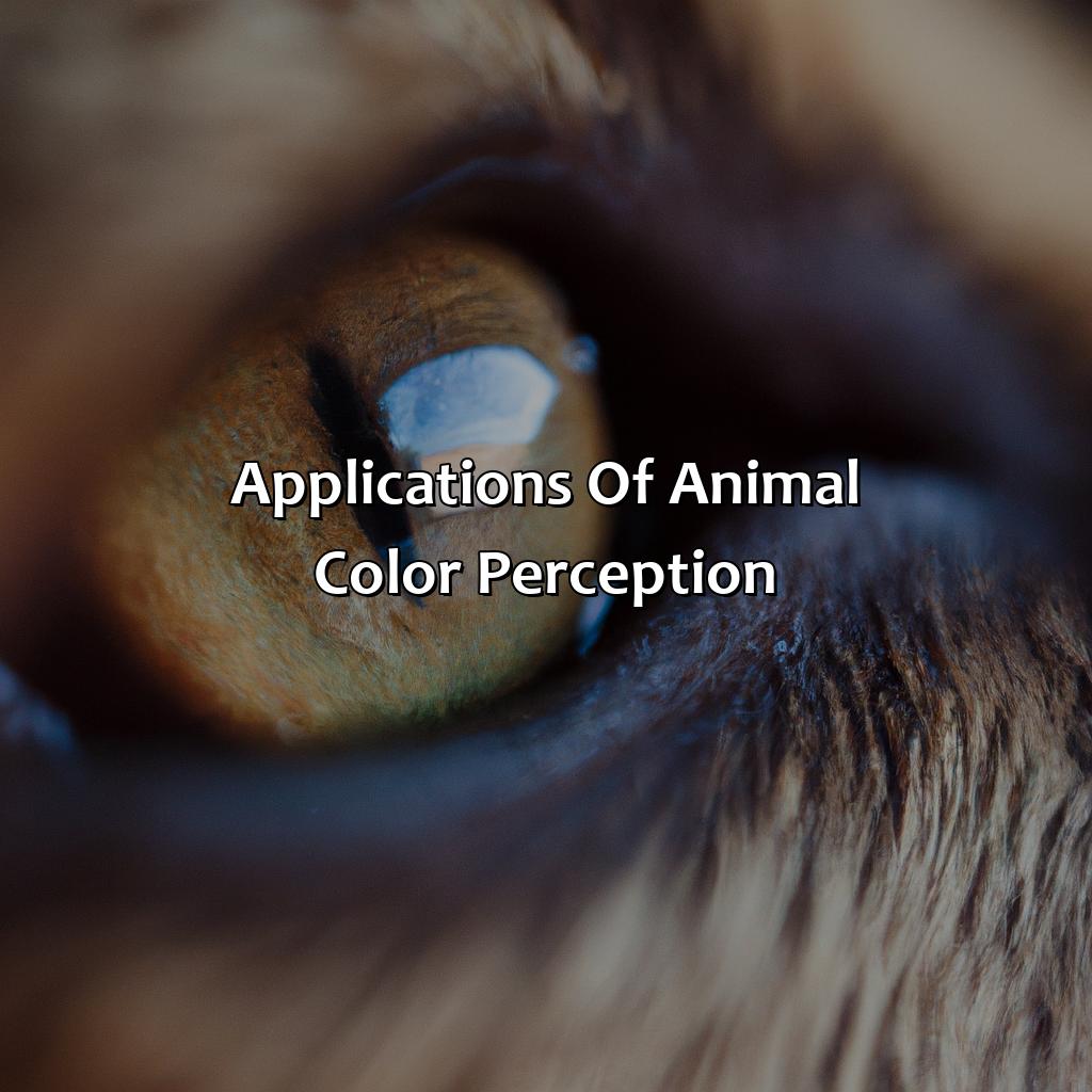 Applications Of Animal Color Perception  - What Animals See In Color, 