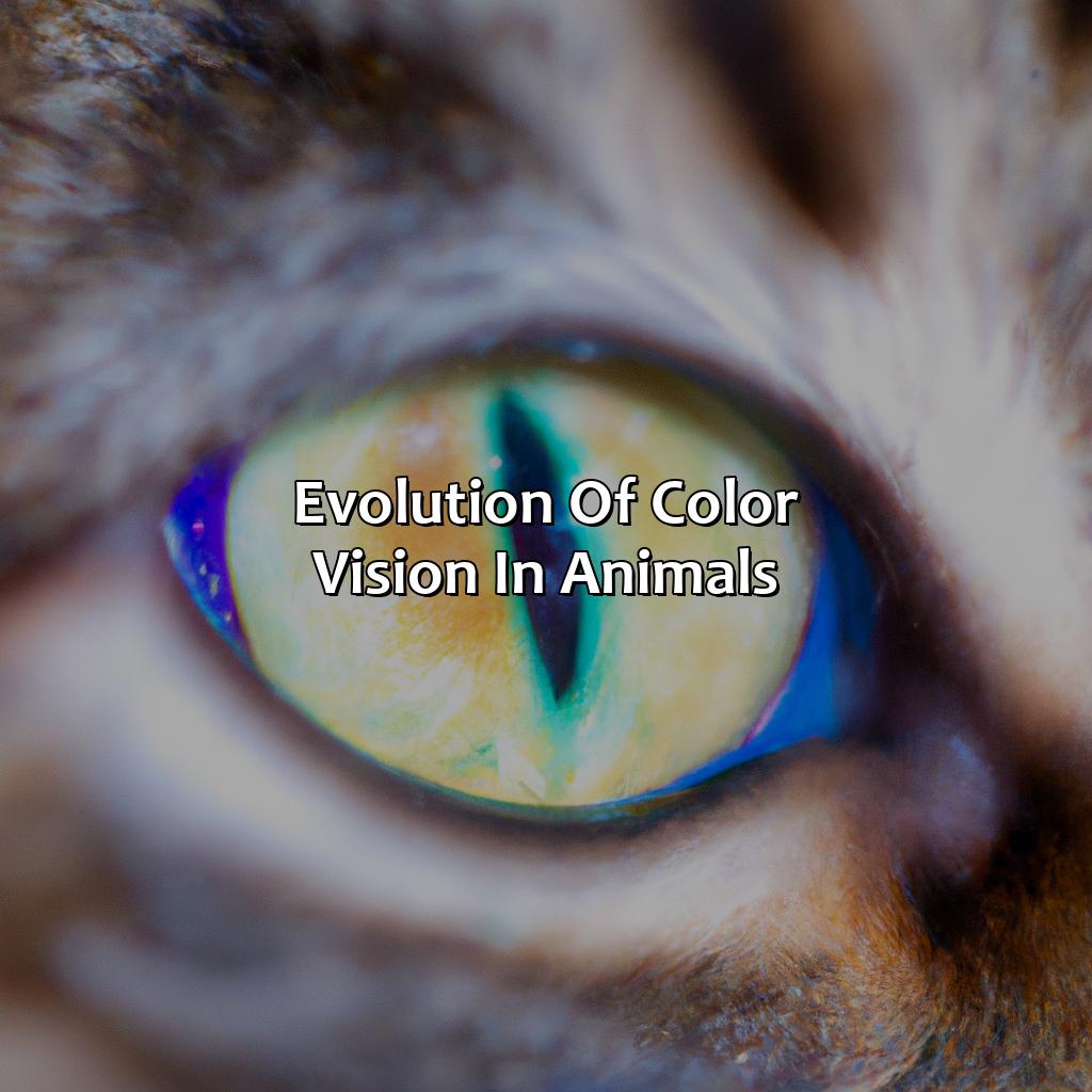 Evolution Of Color Vision In Animals  - What Animals See In Color, 