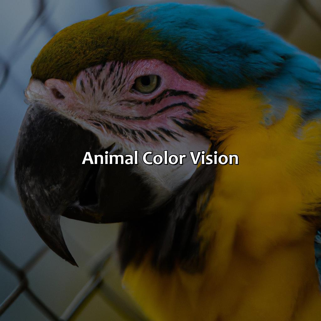 Animal Color Vision  - What Animals See In Color, 