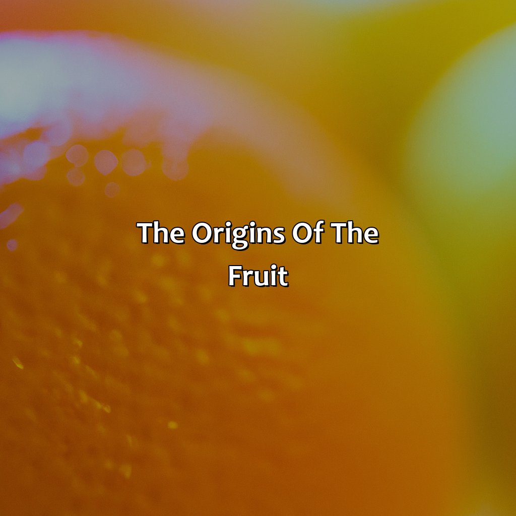 The Origins Of The Fruit  - What Came First Orange Fruit Or Color, 