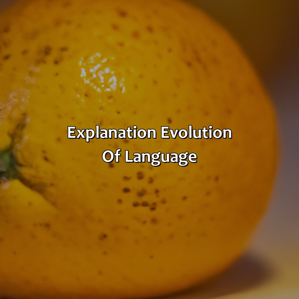 Explanation: Evolution Of Language  - What Came First Orange Fruit Or Color, 