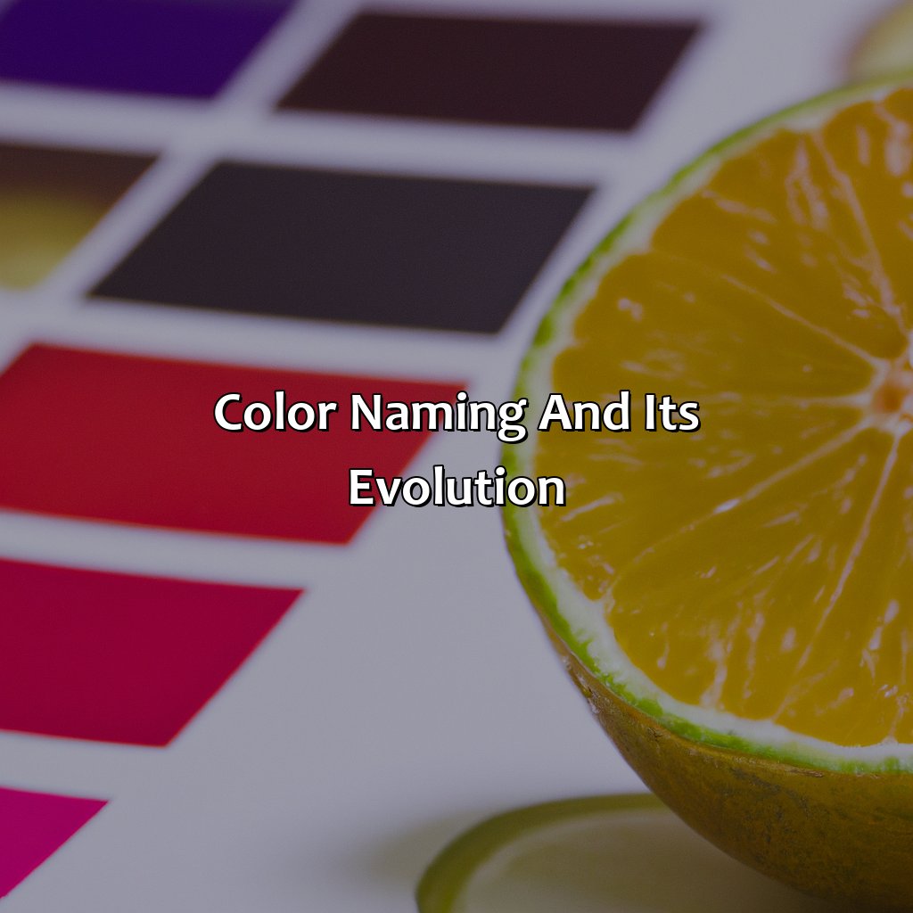 Color Naming And Its Evolution  - What Came First The Color Or The Fruit, 