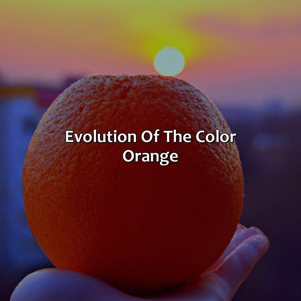 Evolution Of The Color Orange  - What Came First The Color Orange Or The Fruit, 