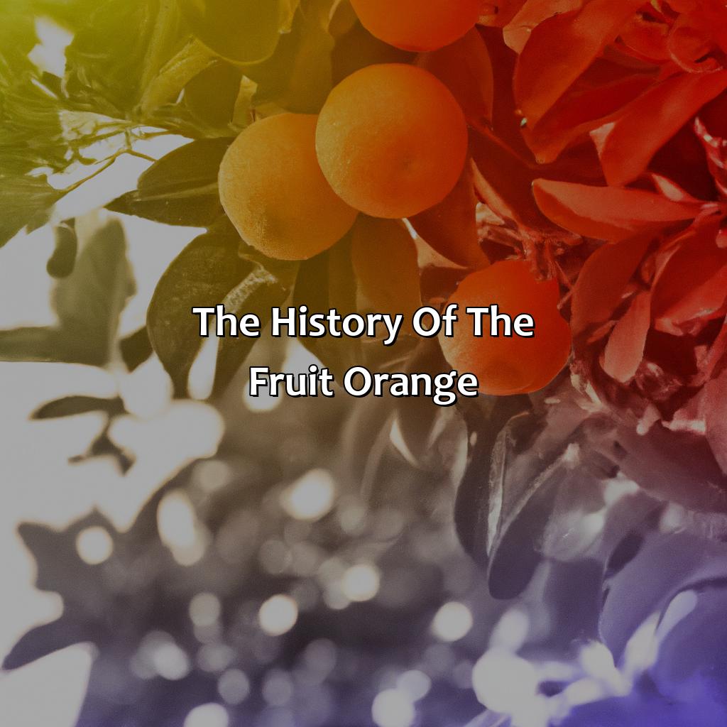 The History Of The Fruit Orange - What Came First The Fruit Orange Or The Color Orange, 