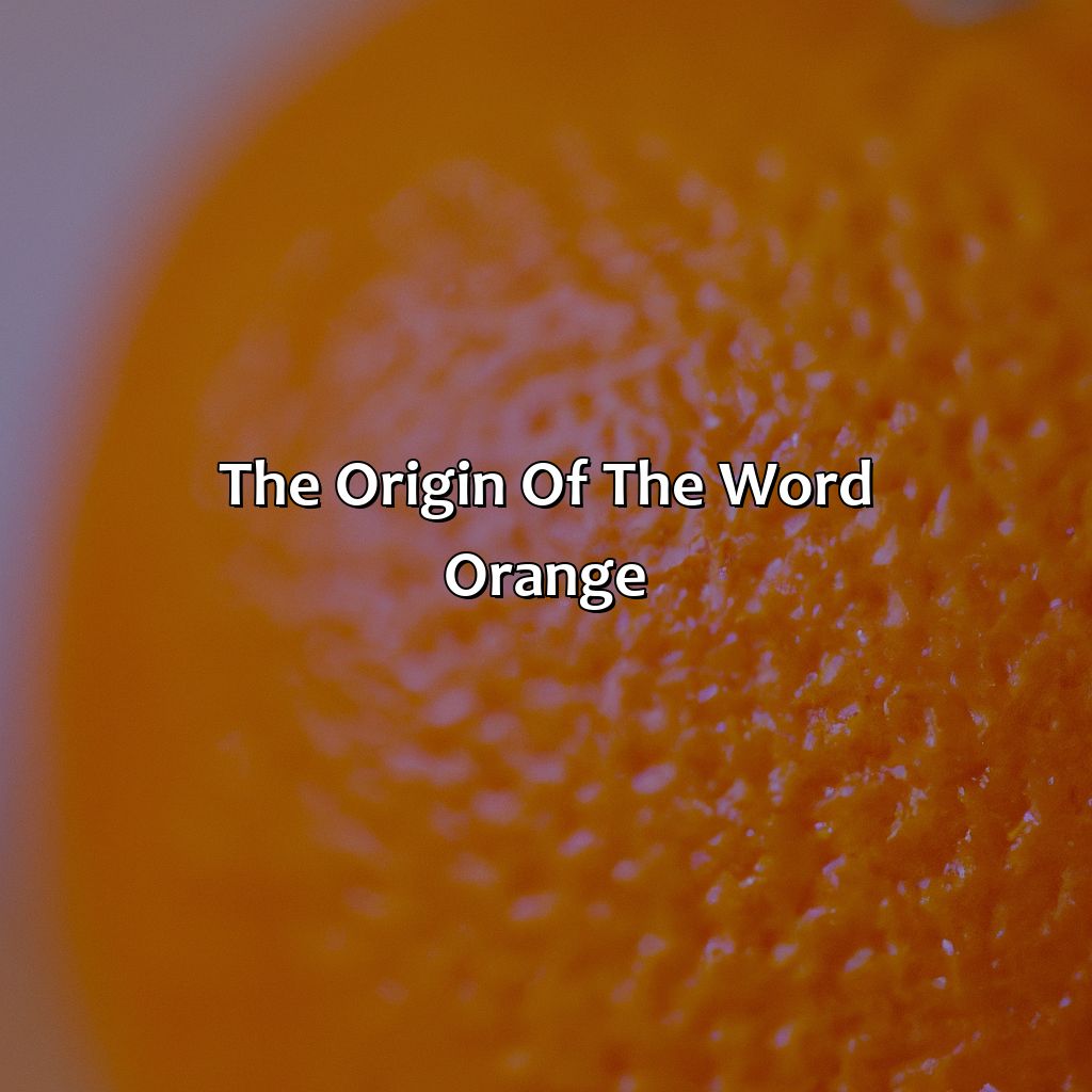 The Origin Of The Word "Orange"  - What Came First The Orange Or The Color, 