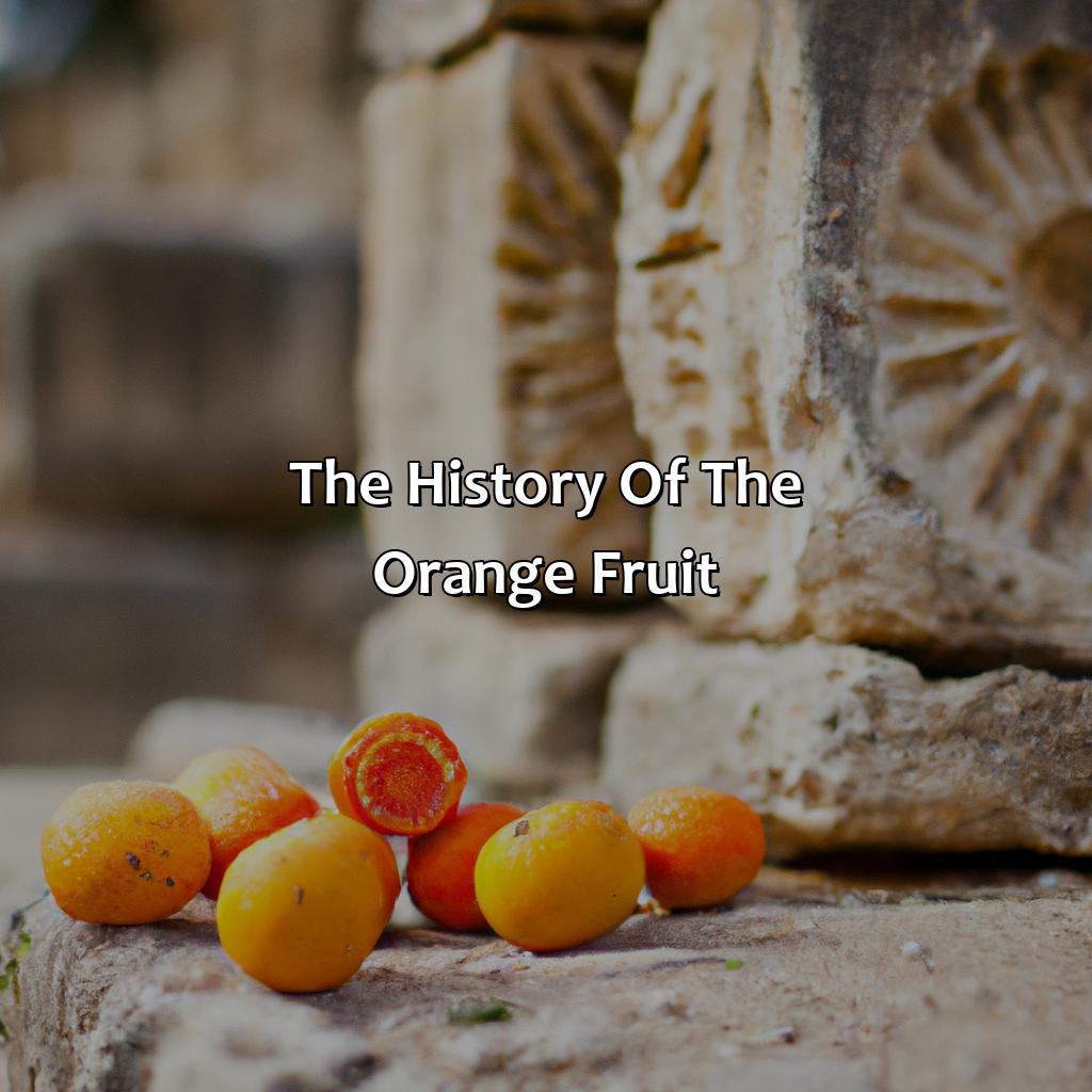 The History Of The Orange Fruit  - What Came First The Orange Or The Color, 