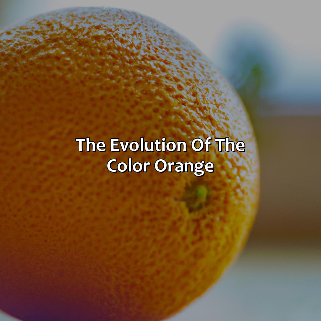 The Evolution Of The Color Orange  - What Came First The Orange Or The Color, 