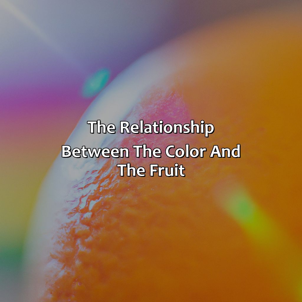 The Relationship Between The Color And The Fruit  - What Came First The Orange Or The Color, 