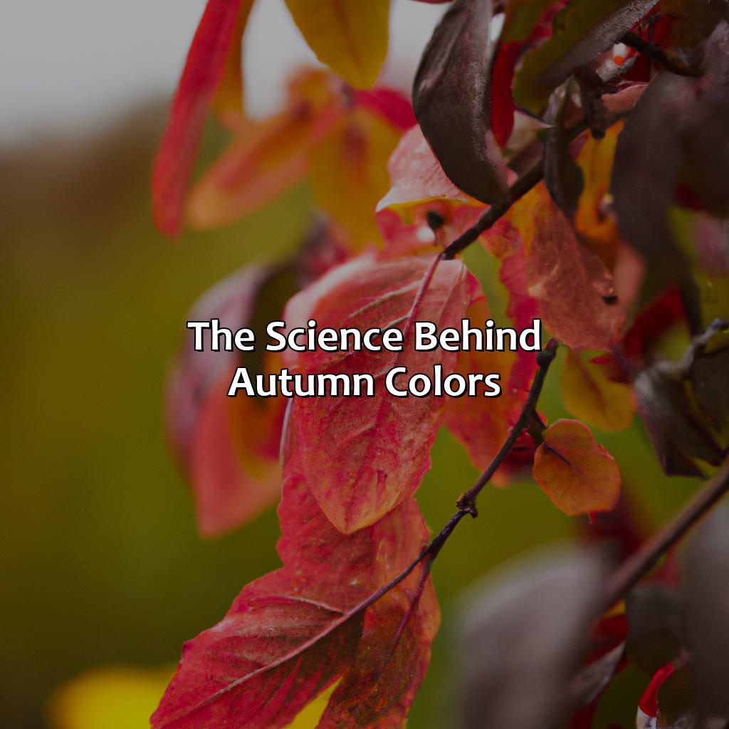 The Science Behind Autumn Colors  - What Causes Leaves To Change Color, 