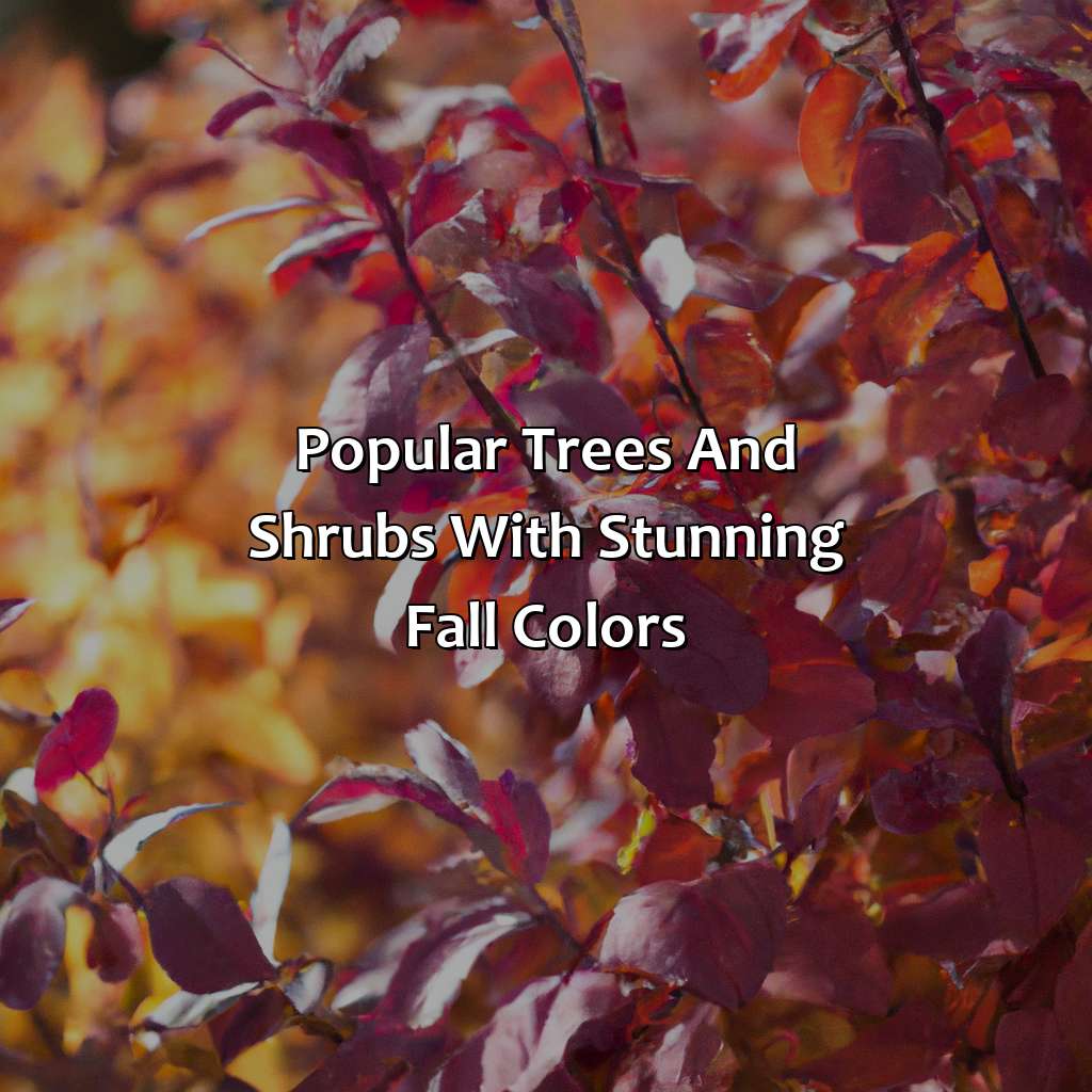 Popular Trees And Shrubs With Stunning Fall Colors  - What Causes Leaves To Change Color, 