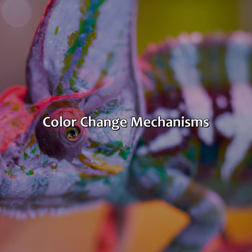 Color Change Mechanisms  - What Chameleons Change Color, 