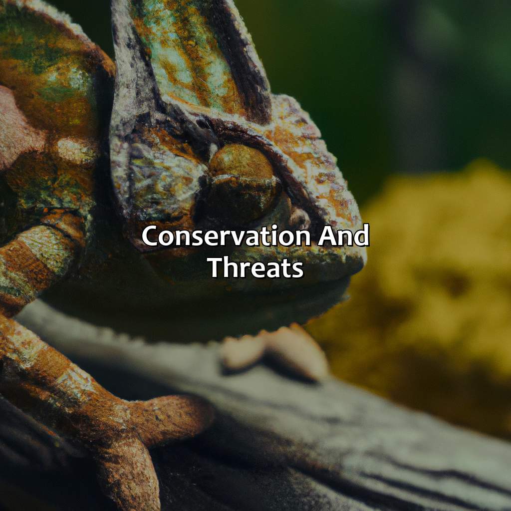 Conservation And Threats  - What Chameleons Change Color, 