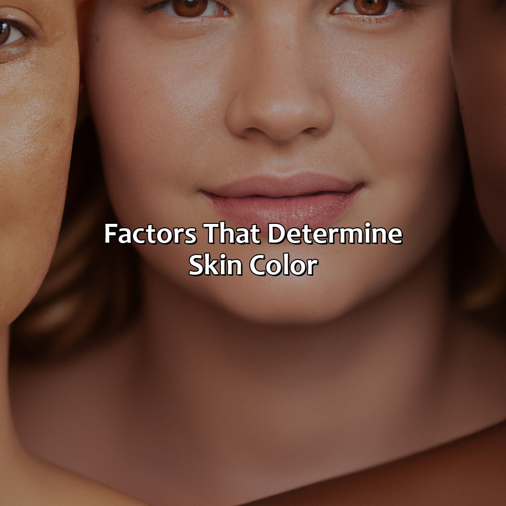 Factors That Determine Skin Color  - What Color Am.I, 