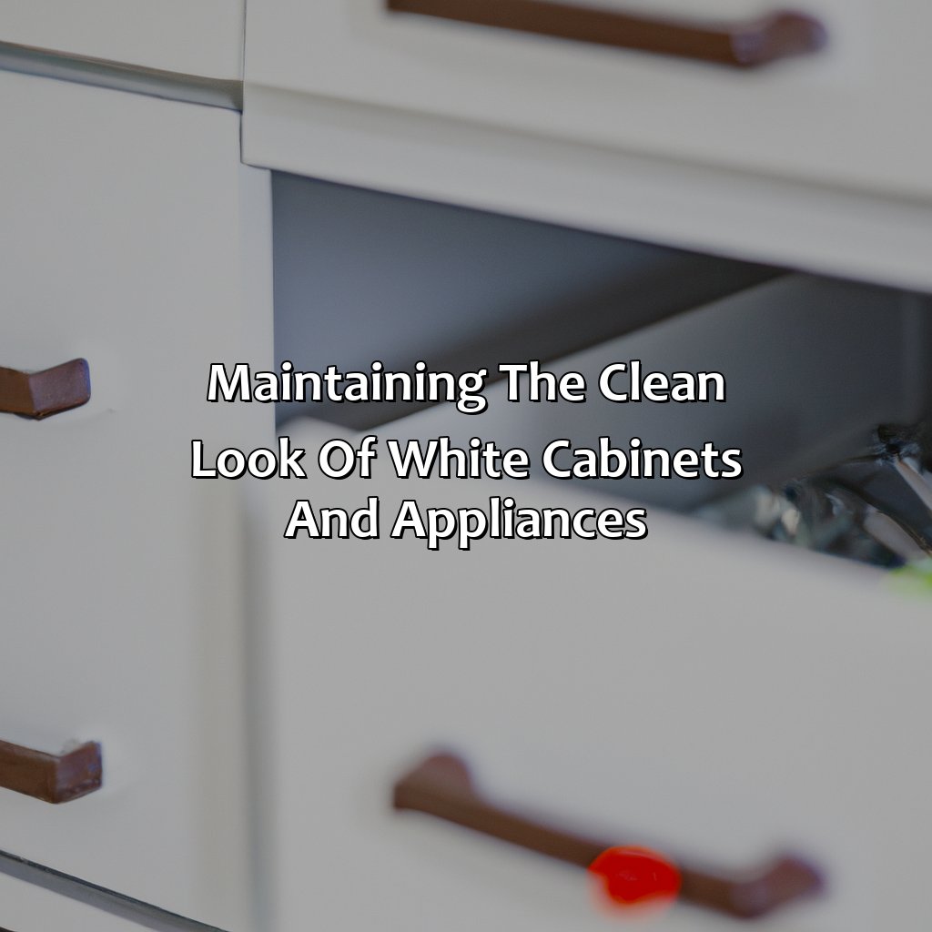 Maintaining The Clean Look Of White Cabinets And Appliances - What Color Appliances With White Cabinets, 