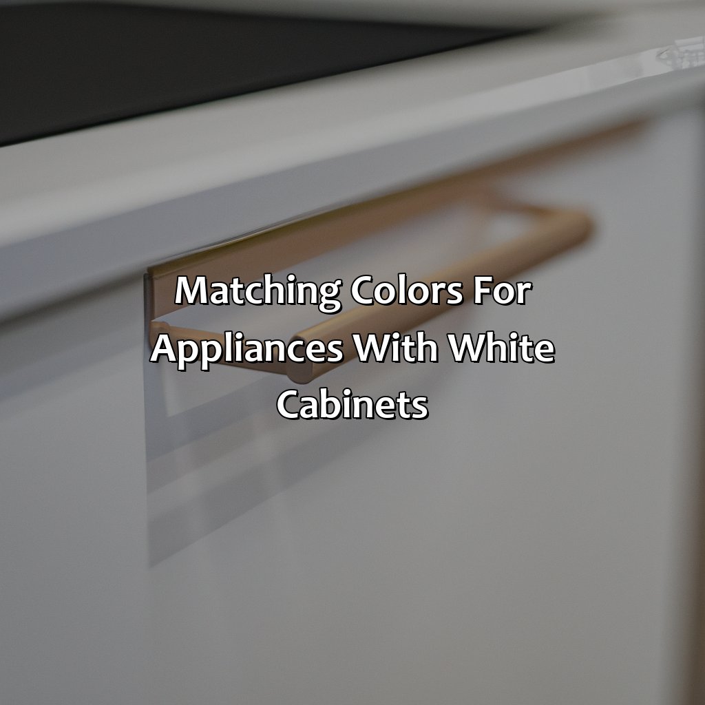 Matching Colors For Appliances With White Cabinets  - What Color Appliances With White Cabinets, 