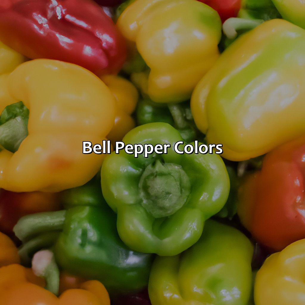 Bell Pepper Colors  - What Color Are Bell Peppers, 