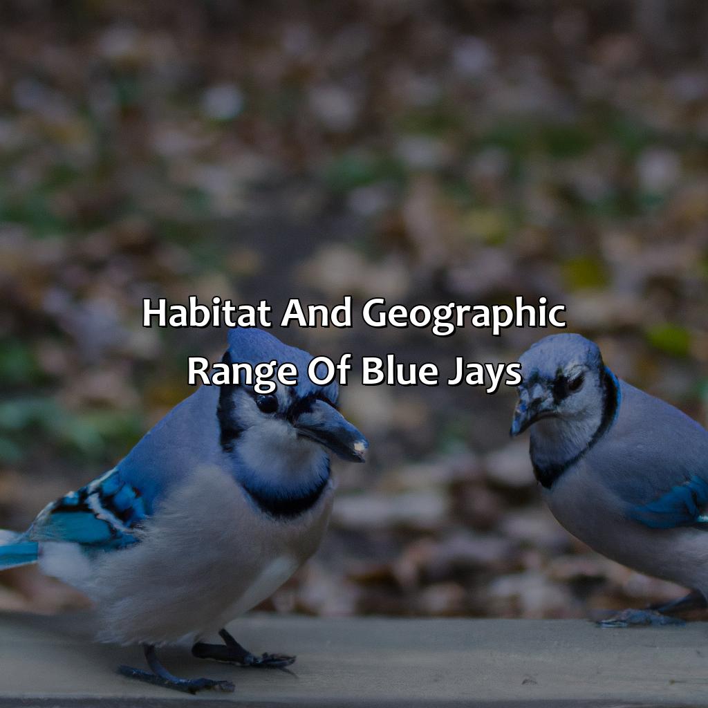 Habitat And Geographic Range Of Blue Jays  - What Color Are Blue Jays, 