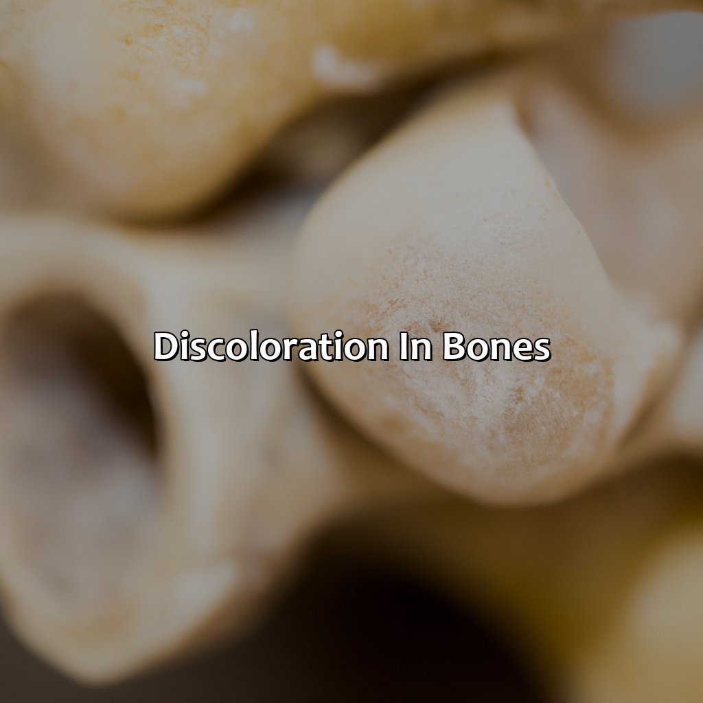 Discoloration In Bones  - What Color Are Bones, 