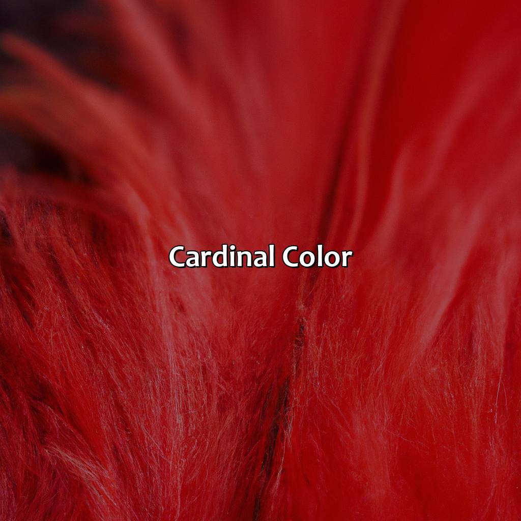 Cardinal Color  - What Color Are Cardinals, 