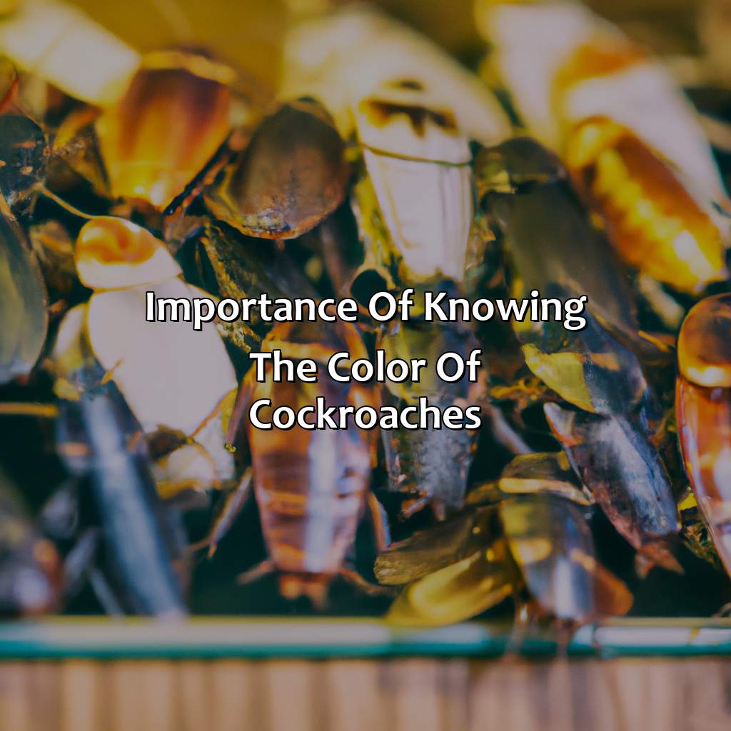 Importance Of Knowing The Color Of Cockroaches  - What Color Are Cockroaches, 