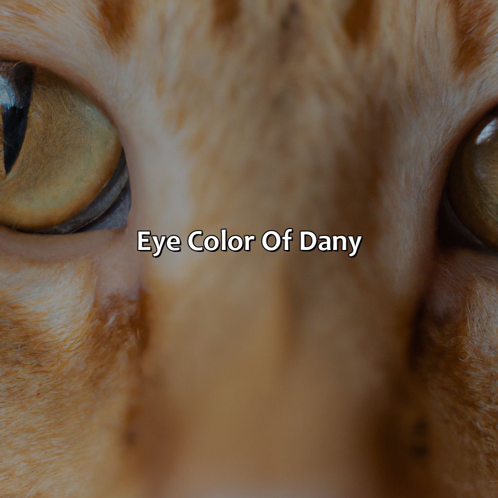 Eye Color Of Dany  - What Color Are Dany