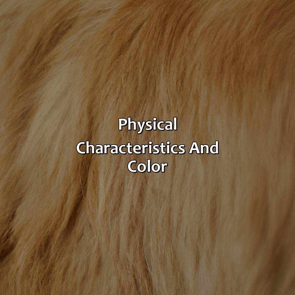Physical Characteristics And Color  - What Color Are Golden Retrievers, 