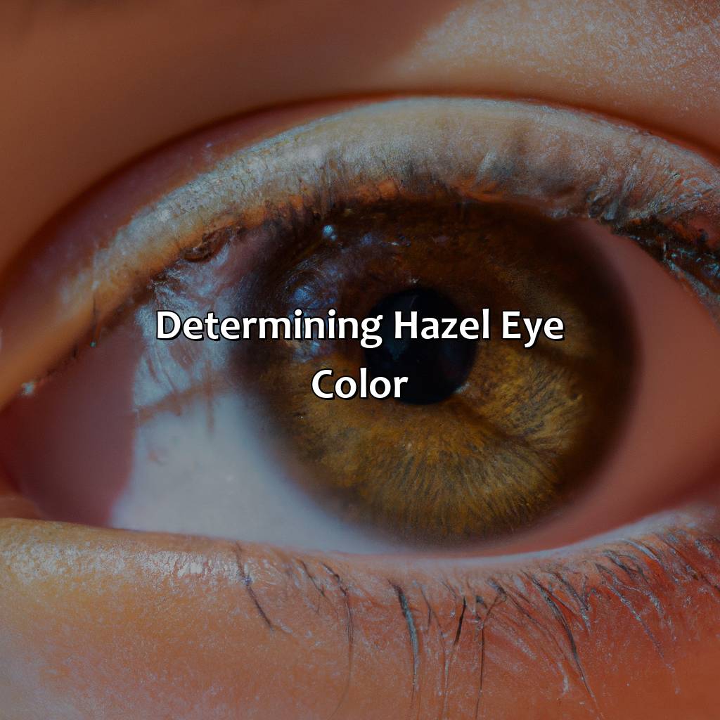Determining Hazel Eye Color  - What Color Are Hazel Eyes, 