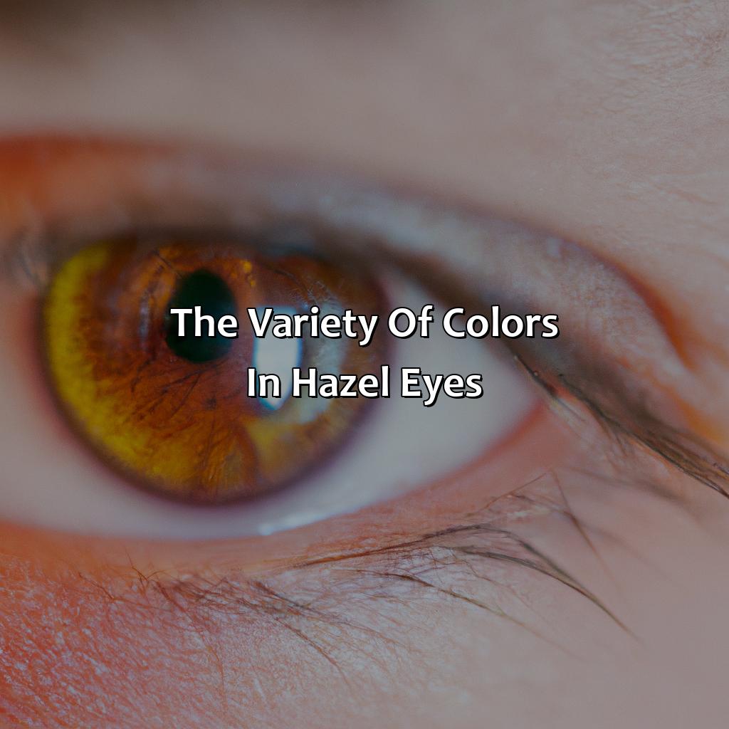 The Variety Of Colors In Hazel Eyes  - What Color Are Hazel Eyes, 