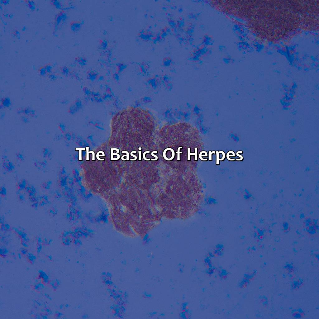 The Basics Of Herpes  - What Color Are Herpes, 