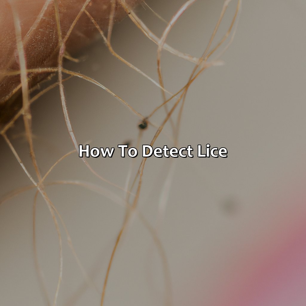 How To Detect Lice  - What Color Are Lice, 