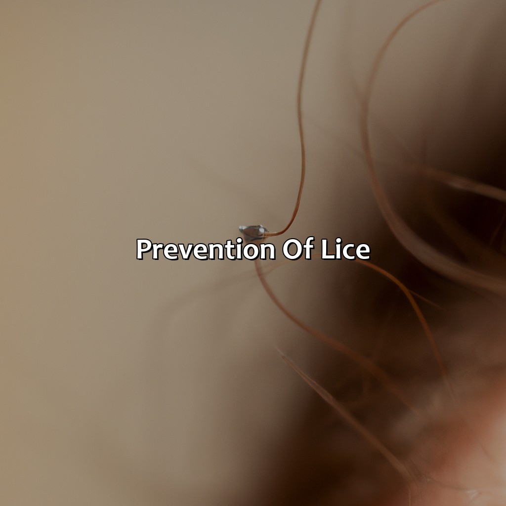 Prevention Of Lice  - What Color Are Lice, 