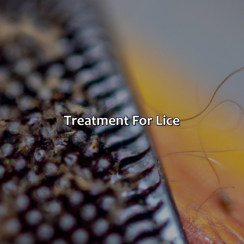 Treatment For Lice  - What Color Are Lice, 