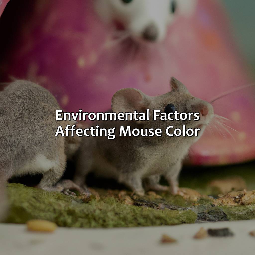 Environmental Factors Affecting Mouse Color  - What Color Are Mice, 