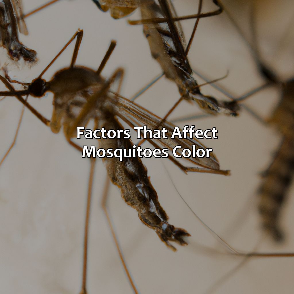 Factors That Affect Mosquitoes