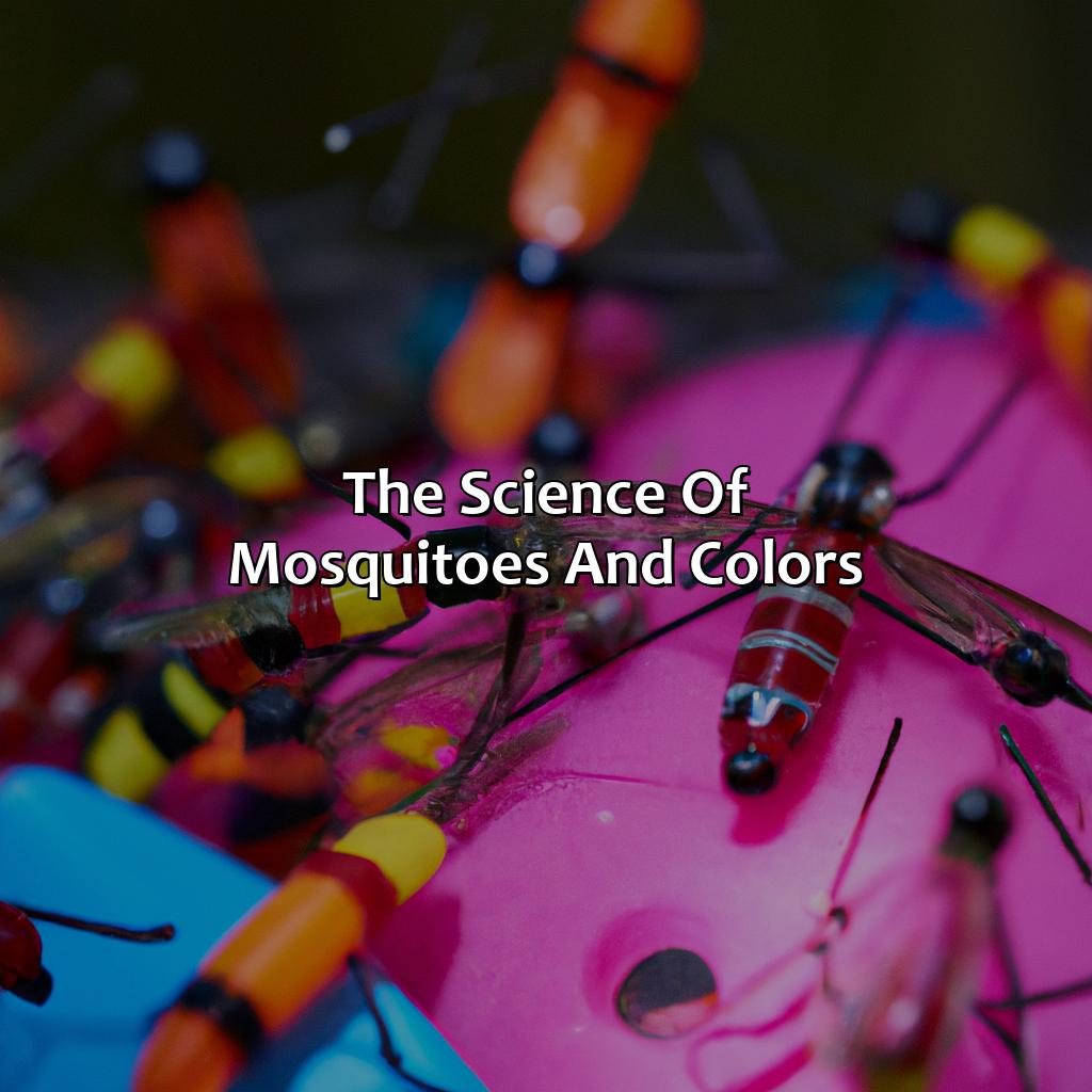 The Science Of Mosquitoes And Colors  - What Color Are Mosquitoes Attracted To, 