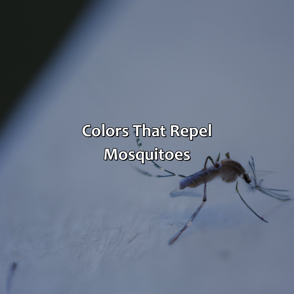 Colors That Repel Mosquitoes  - What Color Are Mosquitoes Attracted To, 