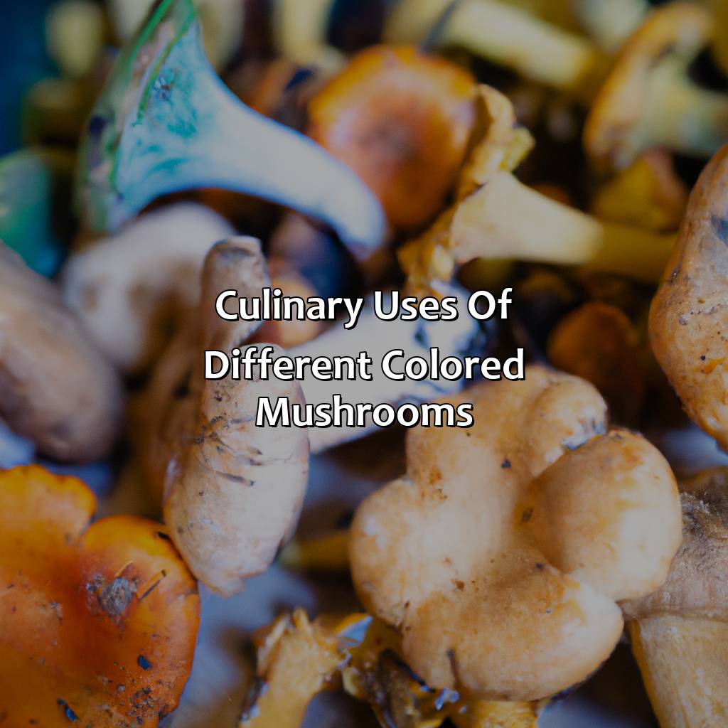 Culinary Uses Of Different Colored Mushrooms  - What Color Are Mushrooms, 