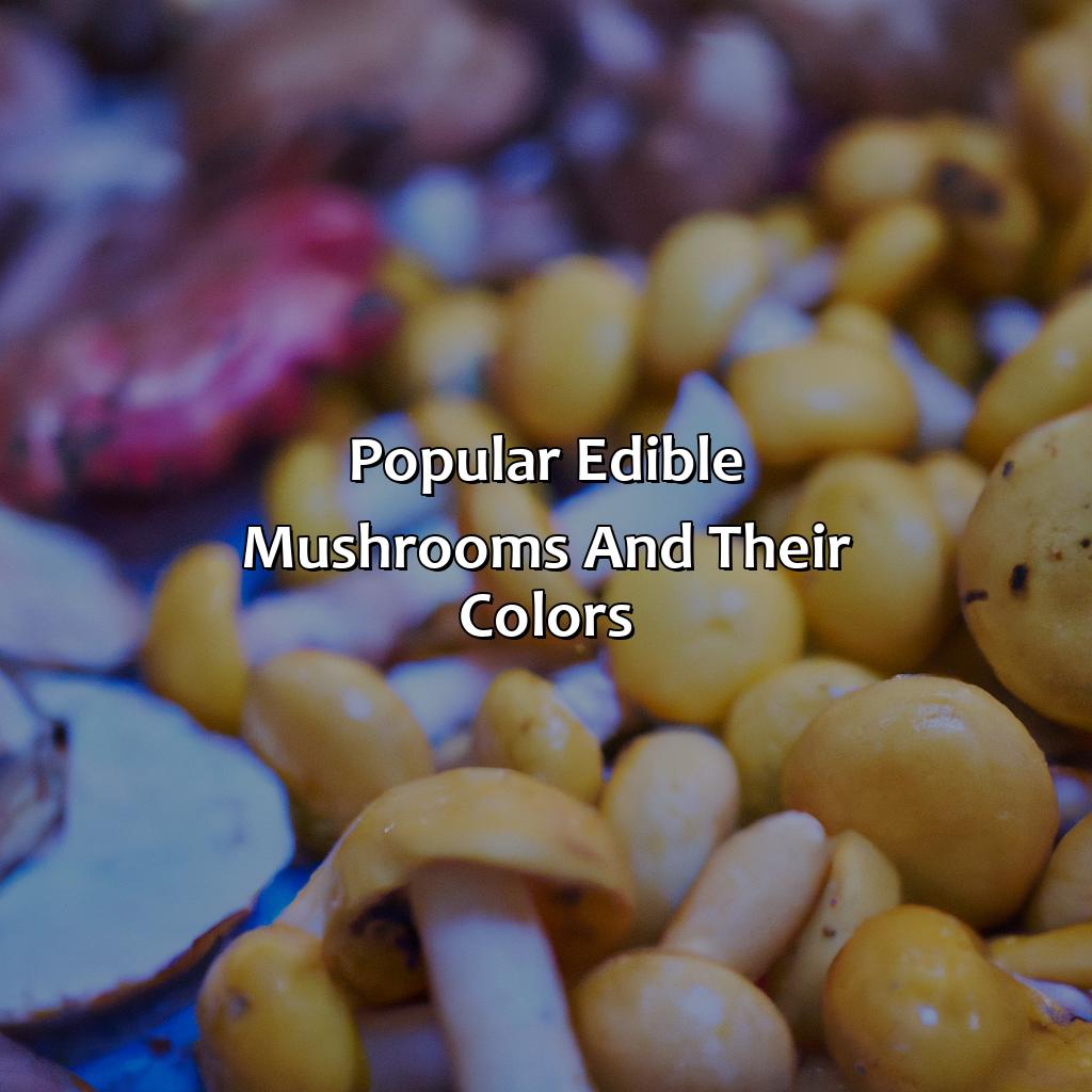 Popular Edible Mushrooms And Their Colors  - What Color Are Mushrooms, 