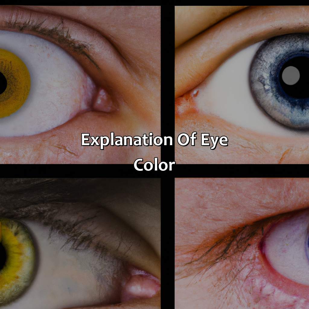 Explanation Of Eye Color  - What Color Are My Eyes, 